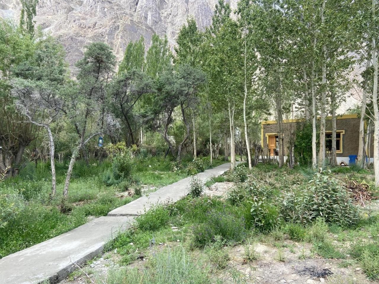 Ladakh Mountian Escape Camp By Lexstays Leh Bagian luar foto